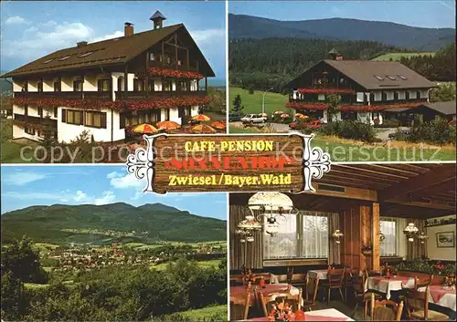 Zwiesel Niederbayern Cafe Pension Sonnenhof Panorama / Zwiesel /Regen LKR