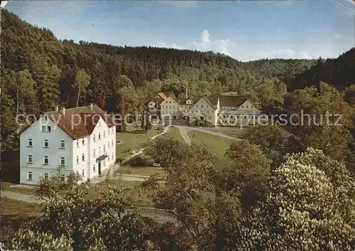 Bad Niedernau Sanatorium Baumbluete Kat. Rottenburg am Neckar