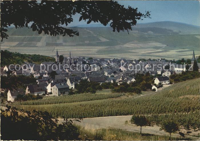 Veldenz Panorama / Veldenz /BernkastelWittlich LKR Nr. ke42022
