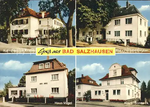 Bad Salzhausen Kur Pension Kraiss Entzian Haus Sonneck Vogel Kat. Nidda
