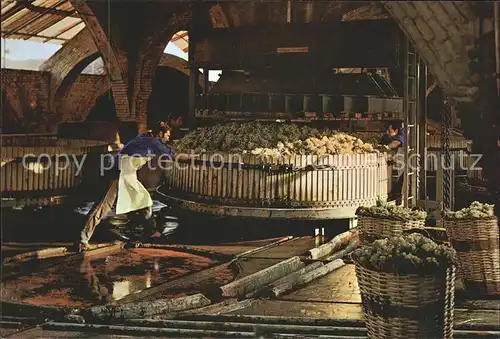 Barcelona Cataluna Cavas Codorniu Prensado de la uva Kat. Barcelona