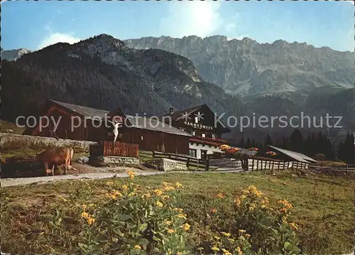 Leutasch Haemmermoosalm Gaistal Kat. Leutasch Tirol