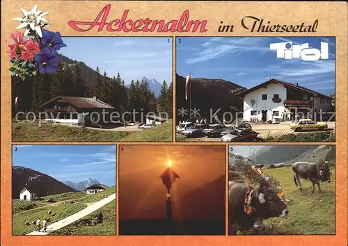 Thiersee Ackernalm im Thierseetal Gasthaus Guffertspitze Kat. Thiersee