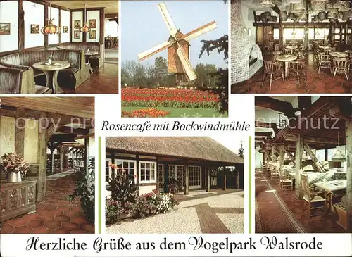 Walsrode Lueneburger Heide Vogelpark Roscencafe Bochwindmuehle Kat. Walsrode