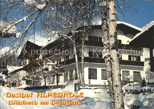 Muehlbach Hochkoenig Gasthaus Alpenrose  Kat. Muehlbach am Hochkoenig