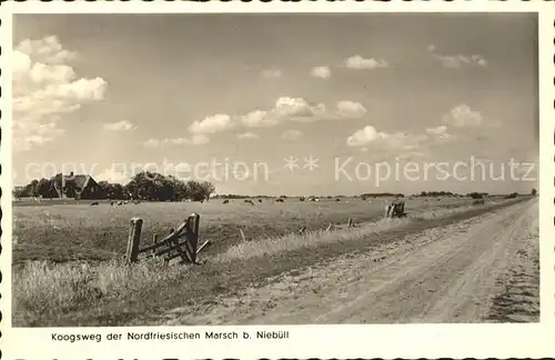 Niebuell Koogsweg der Nordfriesischen Marsch Kat. Niebuell