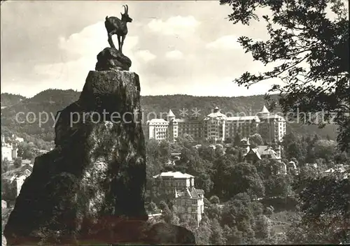 Karlovy Vary Kamzik pod Jelenim skokem / Karlovy Vary /