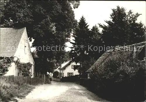 Ferch Dorfstrasse Kat. Schwielowsee