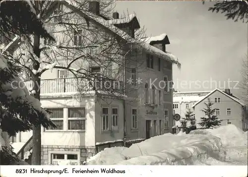 Hirschsprung Ferienheim Waldhaus Kat. Altenberg