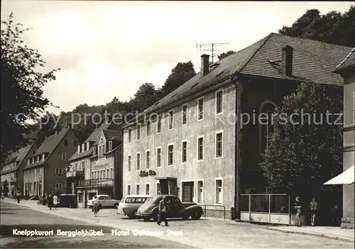 Berggiesshuebel Hotel Goldener Stern Kat. Bad Gottleuba Berggiesshuebel