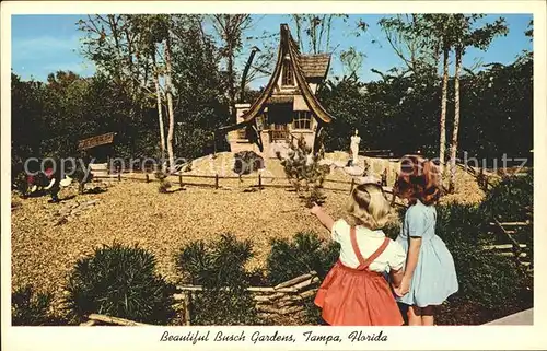 Tampa Florida Busch Gardens Kat. Tampa