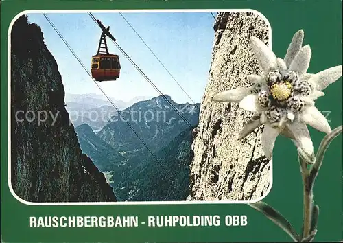 Ruhpolding Rauschbergbahn mit Hoerndlwand und Trauntal Edelweiss Kat. Ruhpolding