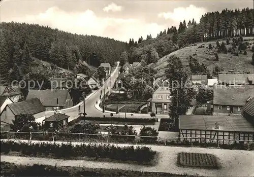 Tanne Harz  Kat. Tanne Harz