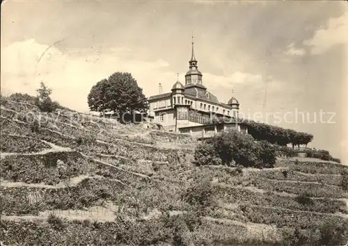 Radebeul Spitzhaus Kat. Radebeul