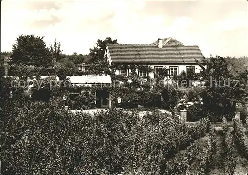 Koenigsbach Weinstrasse Kilianshof Gasthaus Pension  Kat. Neustadt an der Weinstr.