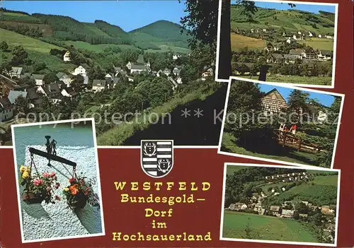 Westfeld Sauerland  Kat. Schmallenberg