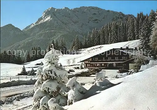 Pfronten Gasthaus Schlossanger Alp Kat. Pfronten