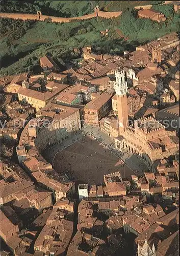 Siena Piazza del Campo  Kat. Siena