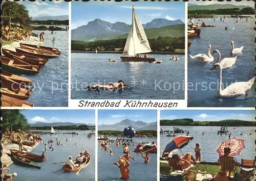 Kuehnhausen Waginger See Strandbad Hochstaufen Zwiesel Schwaene Segelboot Kat. Petting