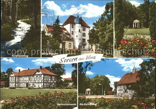 Seesen Harz Forellenstieg Burg Sebusa Ratskeller Heimatmuseum Kat. Seesen