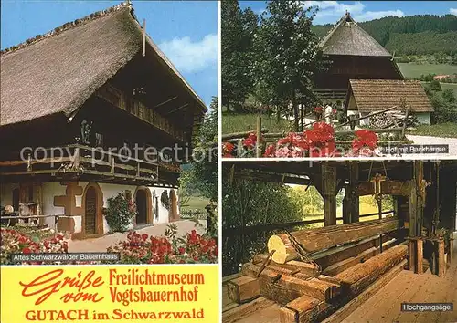 Gutach Schwarzwald Freilichtmuseum Vogtsbauernhof Schwarzwaelder Bauernhaus Backhaeusle hochgangsaege Kat. Gutach