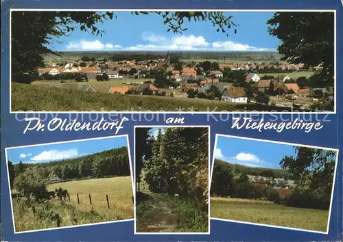 Preussisch Oldendorf Wiehengebirge Panorama Landschaft Kat. Preussisch Oldendorf