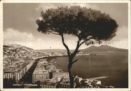 Napoli Neapel Panorama mit Vesuv Kat. Napoli