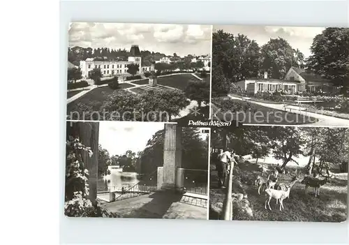 Putbus Ruegen Hotel Deutsches Haus Rosencafe  Kat. Putbus