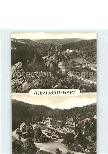 Alexisbad Harz Selketal Verlobungsurne Kat. Harzgerode