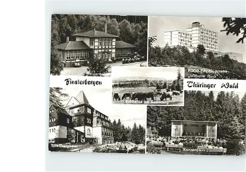 Finsterbergen Steigermuehle FDGB Erholungsheim Wilhelm Pieck Konzertplatz Kuhherde Kat. Finsterbergen Thueringer Wald