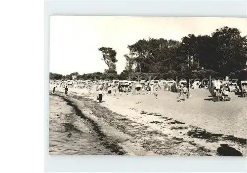 Insel Poel Schwarzen Busch Kat. Insel Poel