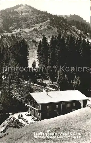 Saalbach Hinterglemm Spielberghaus mit Amsel Kat. Saalbach Hinterglemm