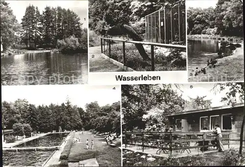 Wasserleben Freibad Knickebaude Kat. Wasserleben