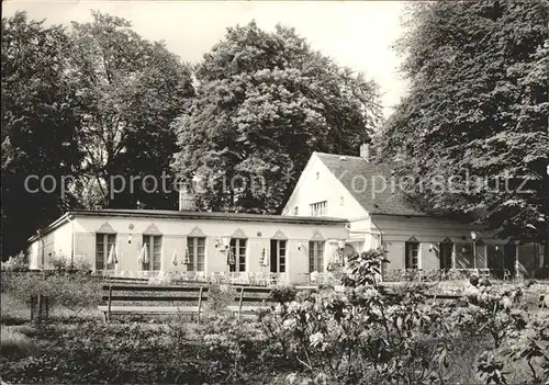 Putbus Ruegen Rosencafe im Stadtpark Kat. Putbus