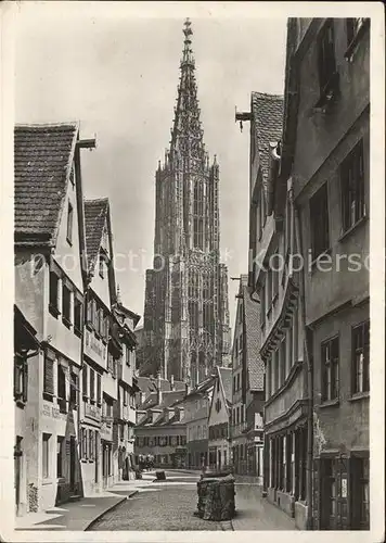 Ulm Donau Muenster Kat. Ulm