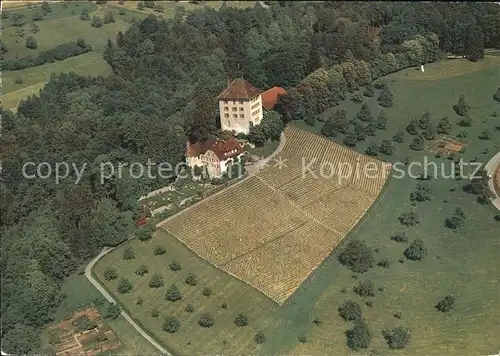 Gelfingen Schloss Heidegg Kat. Gelfingen