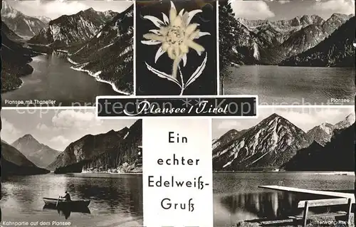 Plansee Thaneller Kahnpartie Edelweissblume  Kat. Breitenwang