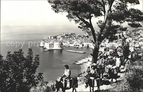 Dubrovnik Ragusa Eseltrecking  Kat. Dubrovnik