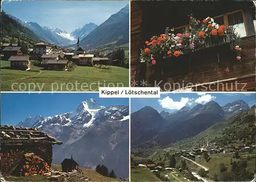 Kippel Loetschental Loetschenluecke Hochenalp Geranium Ferdenrothorn Kat. Kippel