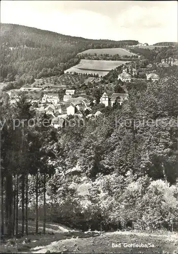 Bad Gottleuba Berggiesshuebel  Kat. Bad Gottleuba Berggiesshuebel