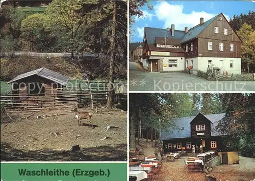 Waschleithe Tierpark Gaststaette Osterlamm Kat. Beierfeld Erzgebirge