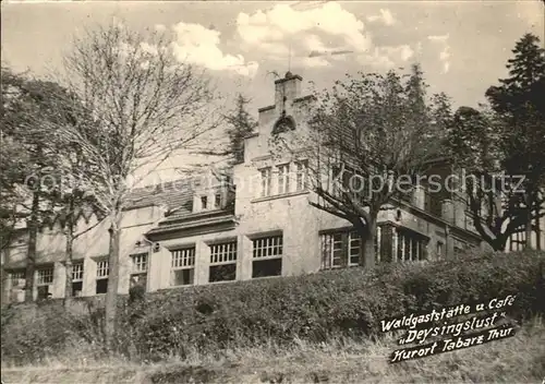 Tabarz Waldgaststaette Cafe Deysingslust Kurort Handabzug Kat. Tabarz Thueringer Wald