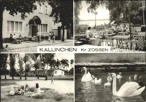 Kallinchen Hotel Restaurant Alter Krug Terrasse Schwanenteich Kat. Zossen
