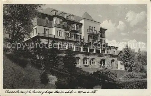 Baerenfels Erzgebirge Hotel Sachsenhof Kurort Kat. Altenberg