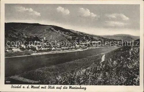 Briedel Panorama Mosel Blick auf die Marienburg Kat. Briedel