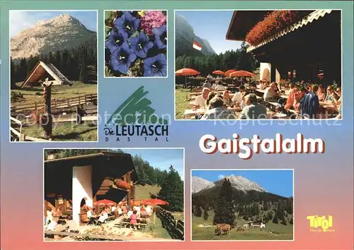 Leutasch Gaistalalm Kat. Leutasch Tirol