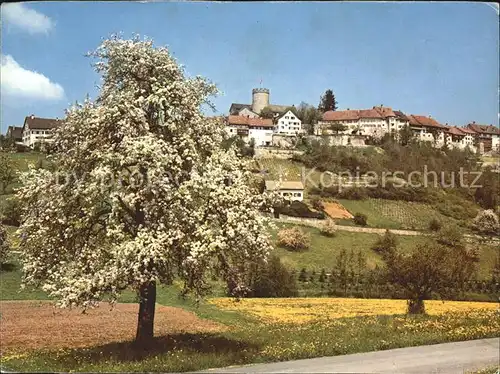 Regensberg Dielsdorf Teilansicht Baumbluete Kat. Regensberg