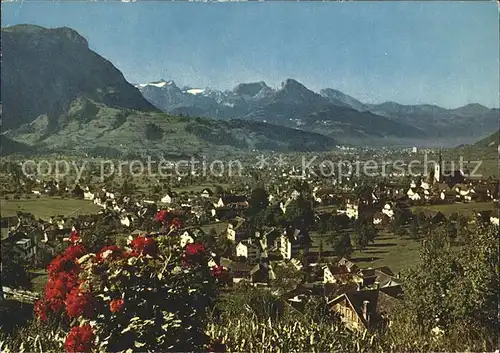 Schwyz Panorama Kat. Schwyz