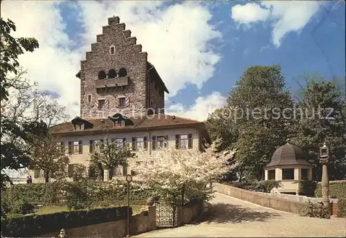 Uster ZH Schloss Uster Kat. Uster