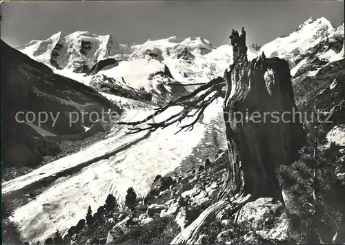 Morteratschgletscher mit Berninagruppe Kat. Morteratsch